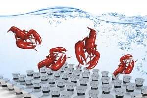 生蠔如何快速清洗？超聲波清洗機(jī)讓生蠔小龍蝦田螺大閘蟹更美味